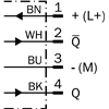 GRTB18-P2431V