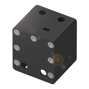 BAM FS-IC-010-Q40-O (BAM0335)