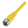BCC A213-0000-1C-123-EX43T2-100 (BCC0H7A)