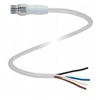 V1S-GV4A-5M-PP-H1